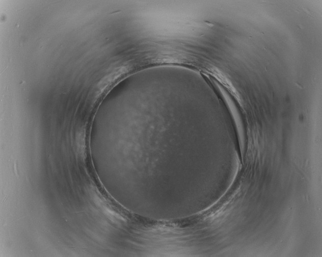 X0000088030386200705182031