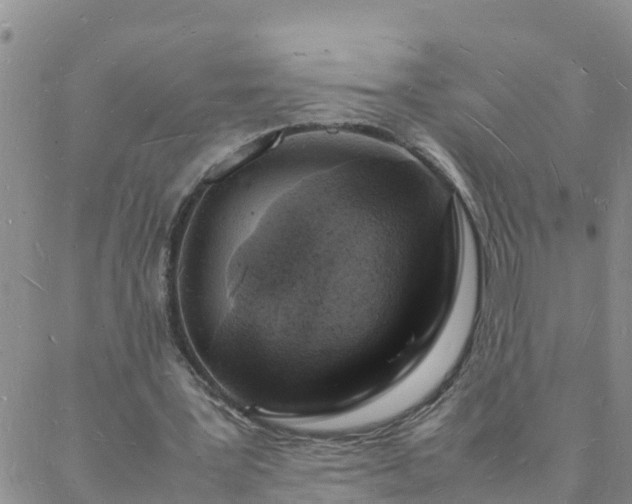 X0000088030387200705182031