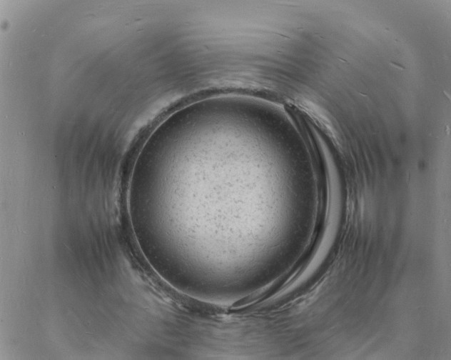 X0000088030388200705182031