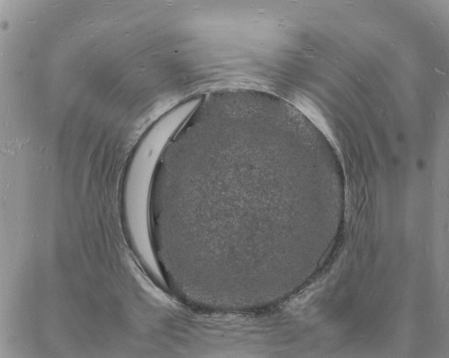 X0000088030389200705182031