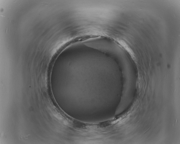 X0000088030391200705182031