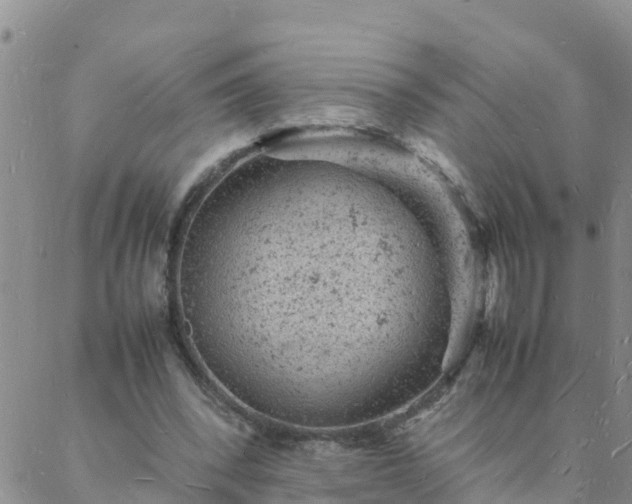 X0000088030392200705182031