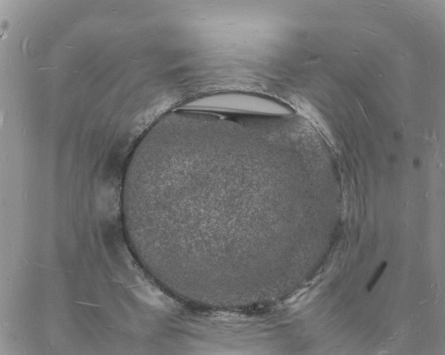 X0000088030393200705182031