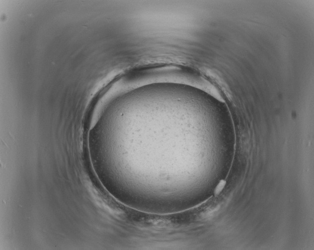 X0000088030395200705182031