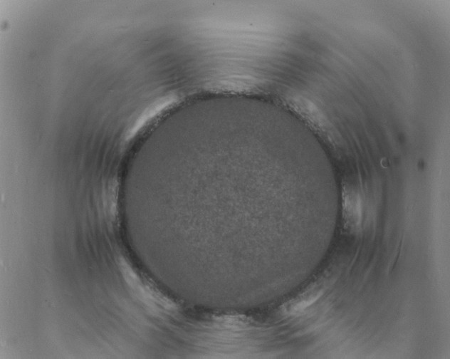 X0000088030396200705182030