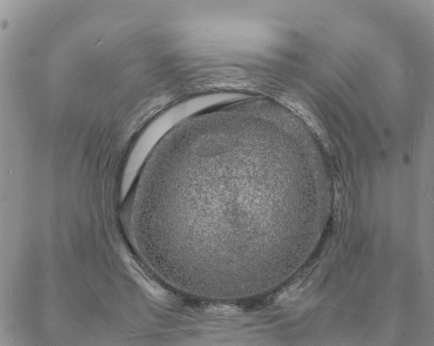 X0000088030397200705182030