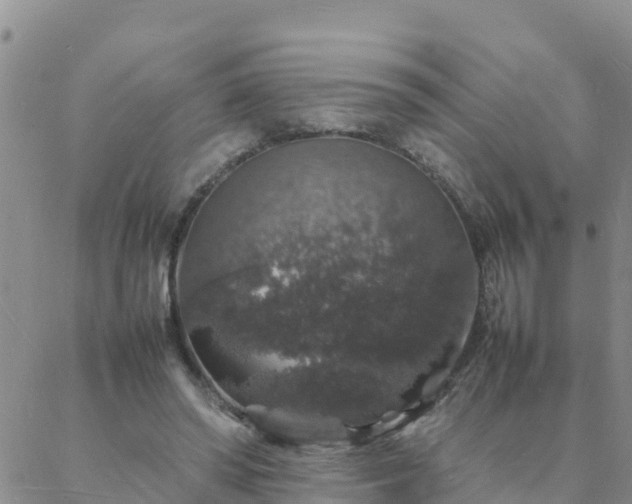 X0000088030398200705182030