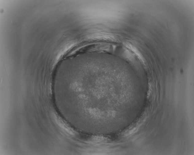 X0000088030399200705182030