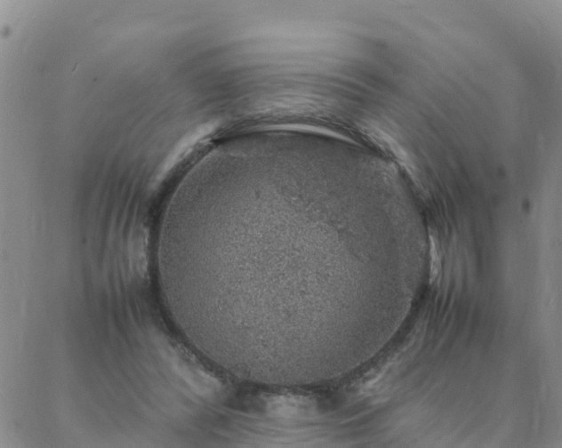 X0000088030400200705182030