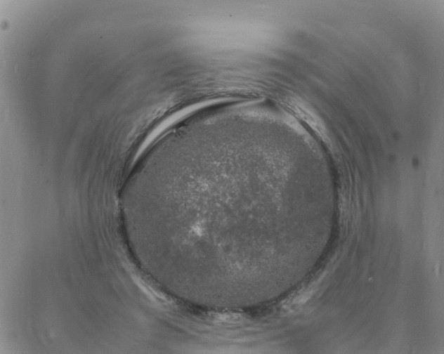 X0000088030401200705182030