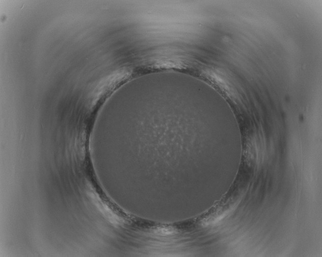 X0000088030402200705182030