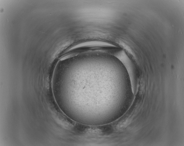 X0000088030403200705182030