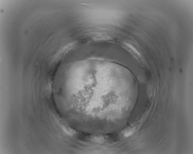 X0000088030405200705182030