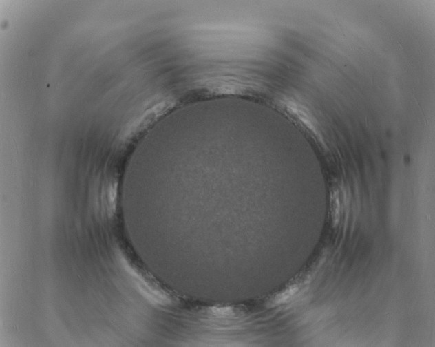 X0000088030406200705182030