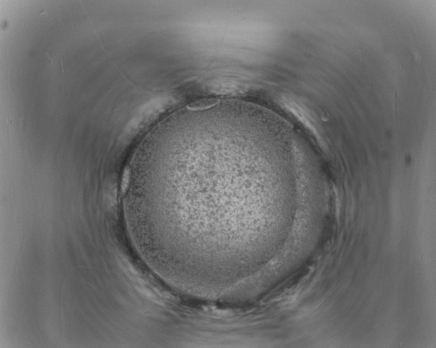 X0000088030407200705182030