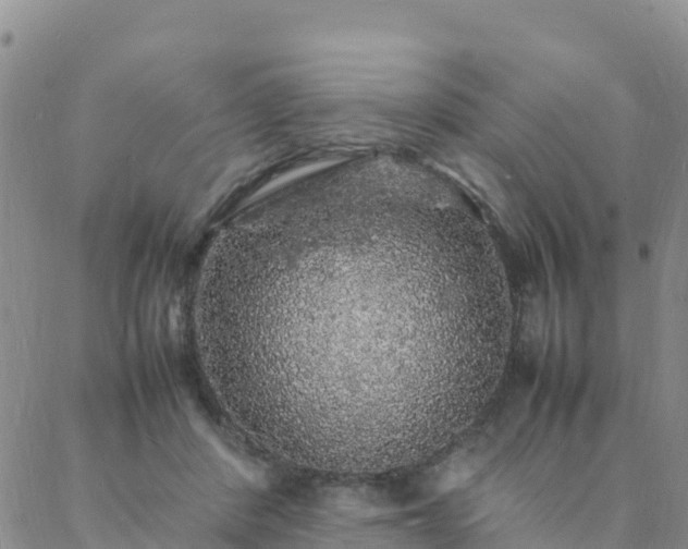 X0000088030408200705182030