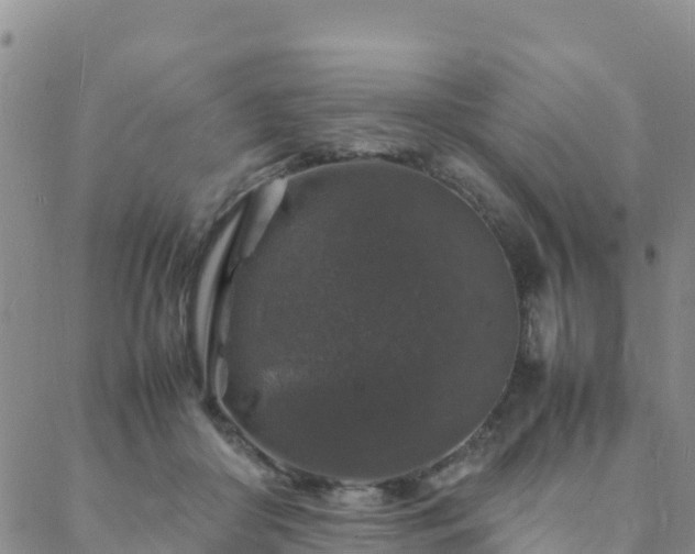 X0000088030410200705182030