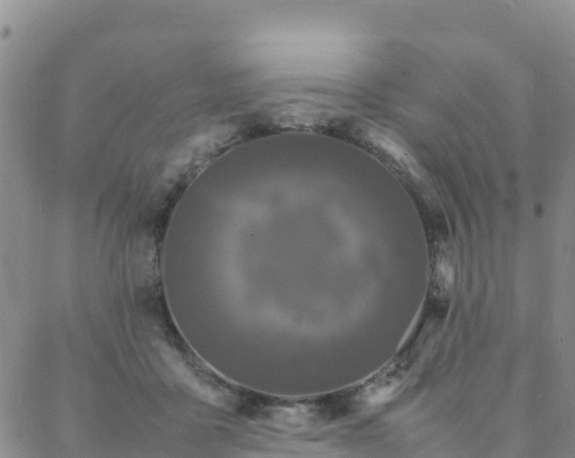 X0000088030411200705182030