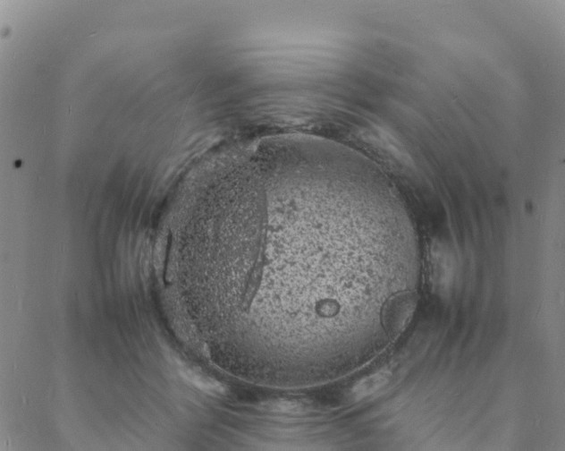 X0000088030412200705182030