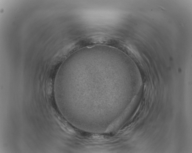 X0000088030413200705182030