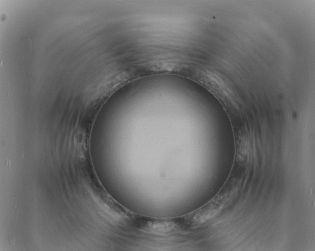 X0000088030414200705182030