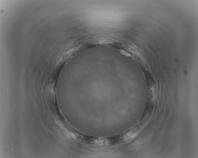 X0000088030415200705182030