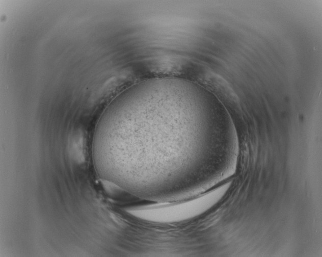 X0000088030416200705182030