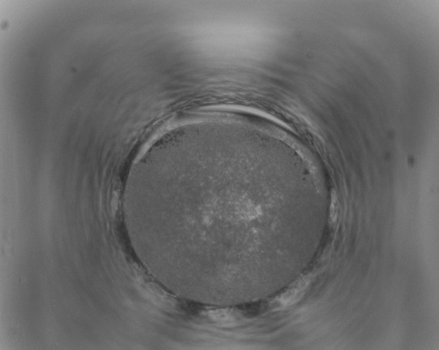 X0000088030417200705182030