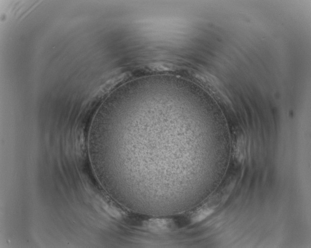 X0000088030418200705182030