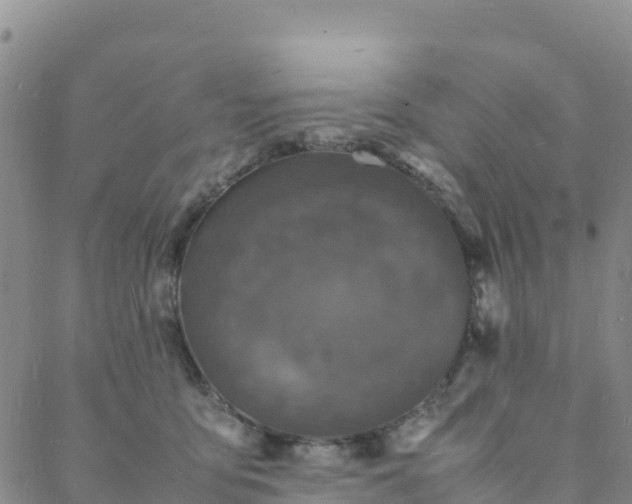 X0000088030419200705182030