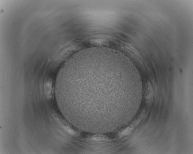 X0000088030420200705182030