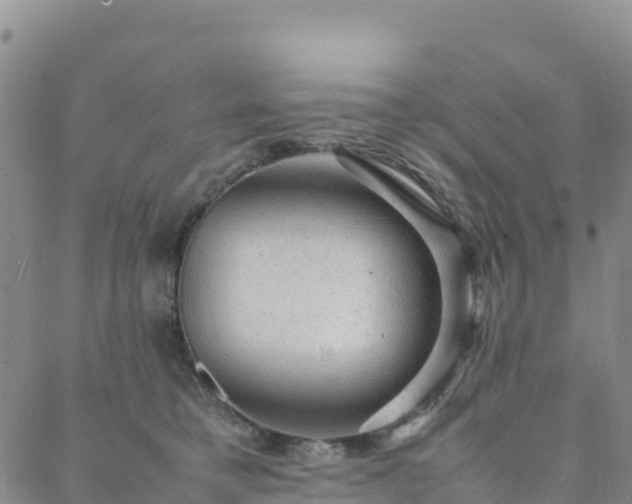 X0000088030421200705182030