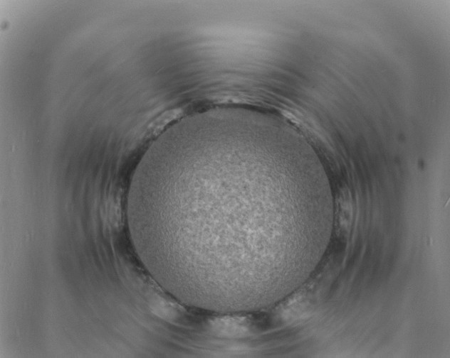 X0000088030422200705182030