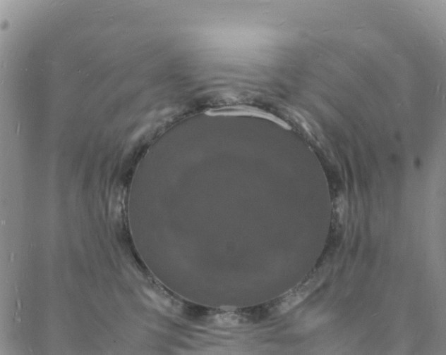 X0000088030423200705182030