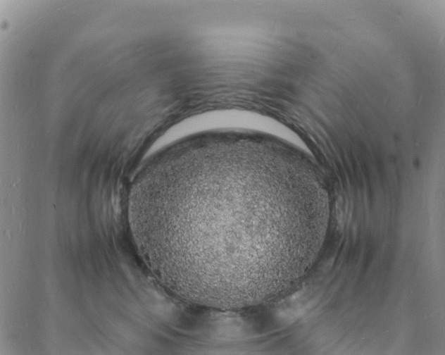 X0000088030424200705182030