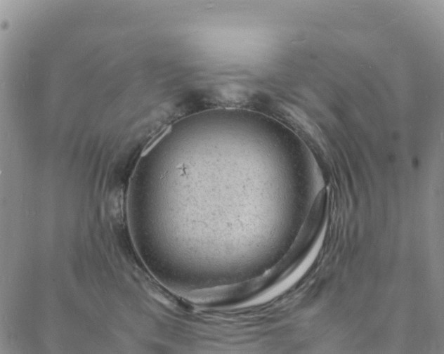 X0000088030425200705182030