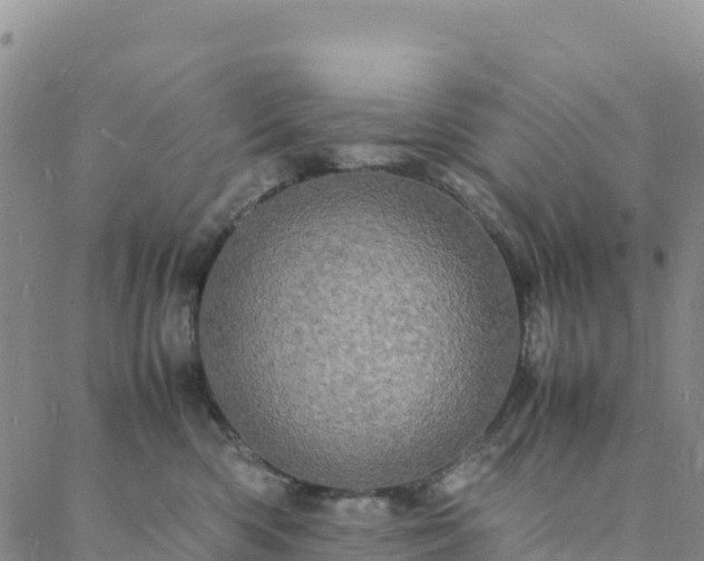 X0000088030426200705182030