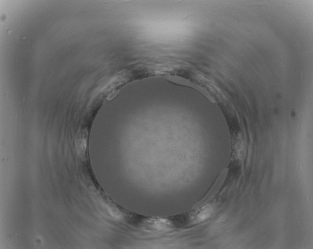 X0000088030427200705182030