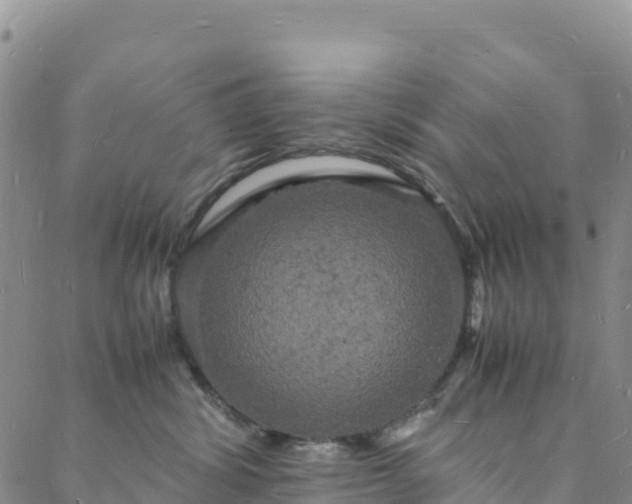 X0000088030428200705182030