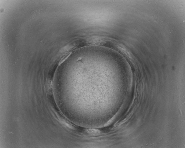 X0000088030429200705182030