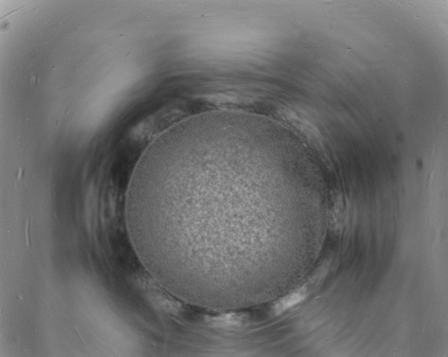 X0000088030430200705182030