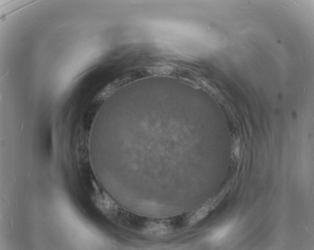 X0000088030431200705182030