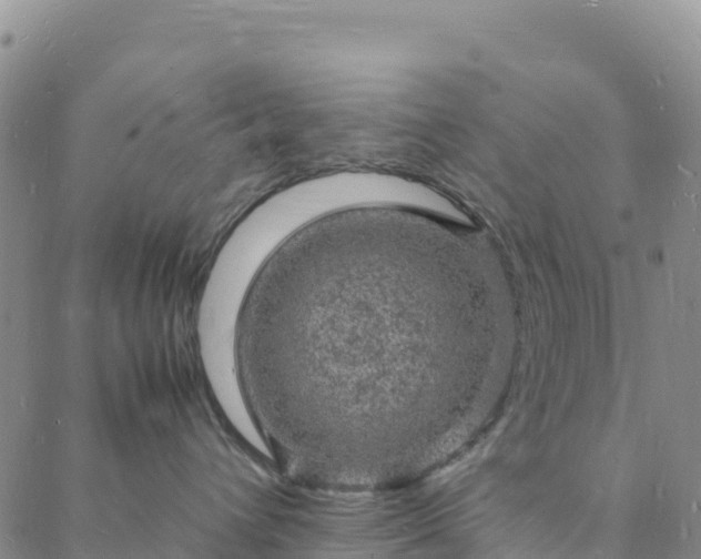 X0000088030432200705182030