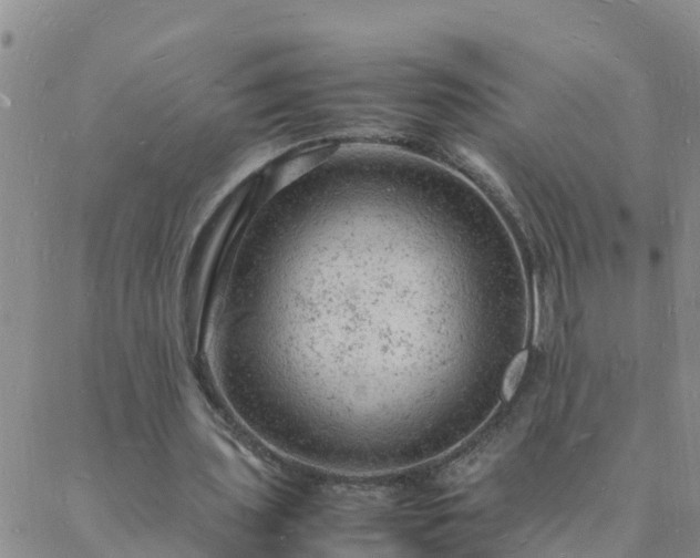 X0000088030435200705182029