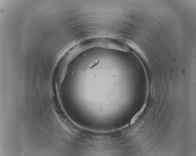 X0000088030436200705182029