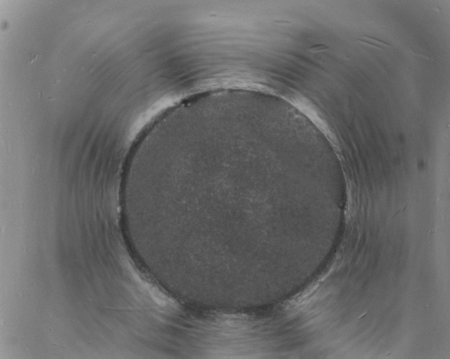 X0000088030438200705182029