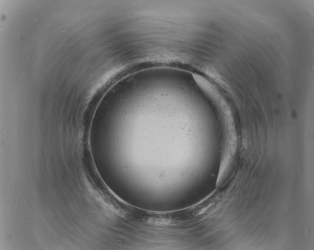 X0000088030440200705182029