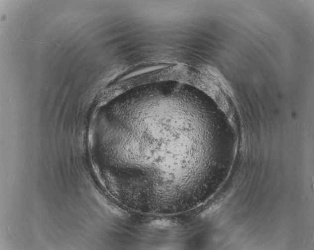 X0000088030441200705182029