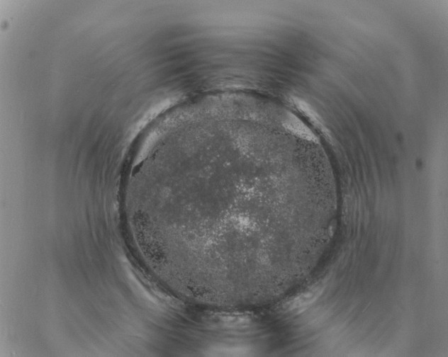 X0000088030443200705182029