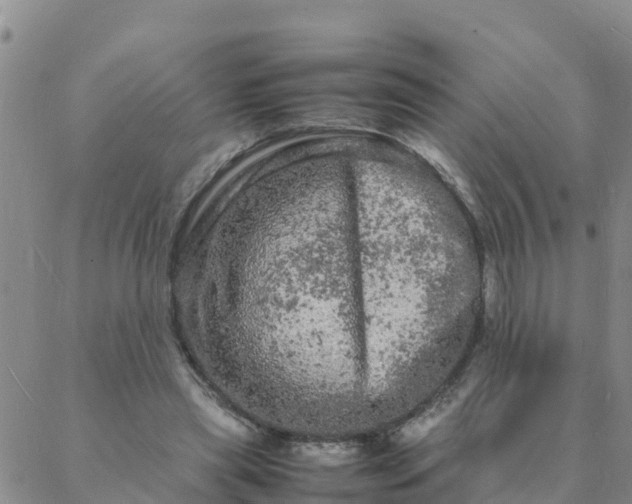 X0000088030445200705182029